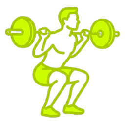 Barbell Squat