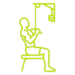 Lat Pulldown