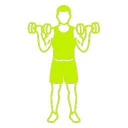 Dumbbell Curl