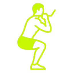 Hack Squat