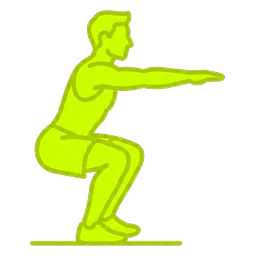 Squats